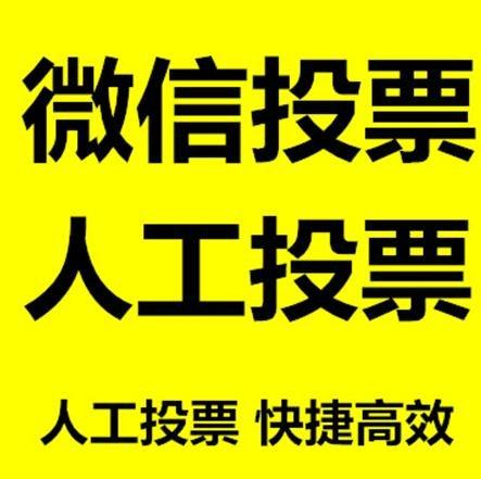 六安市微信刷票怎么投票